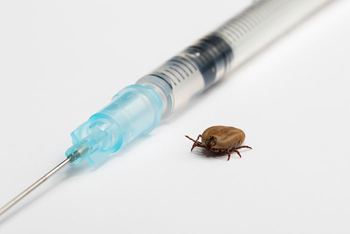 прививка от энцефалита взрослым