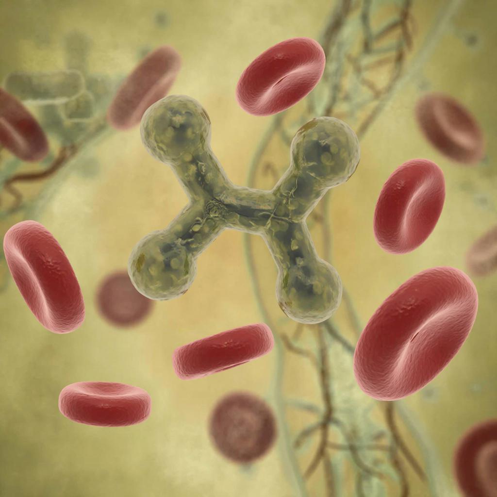 Где сдать кровь на билирубин