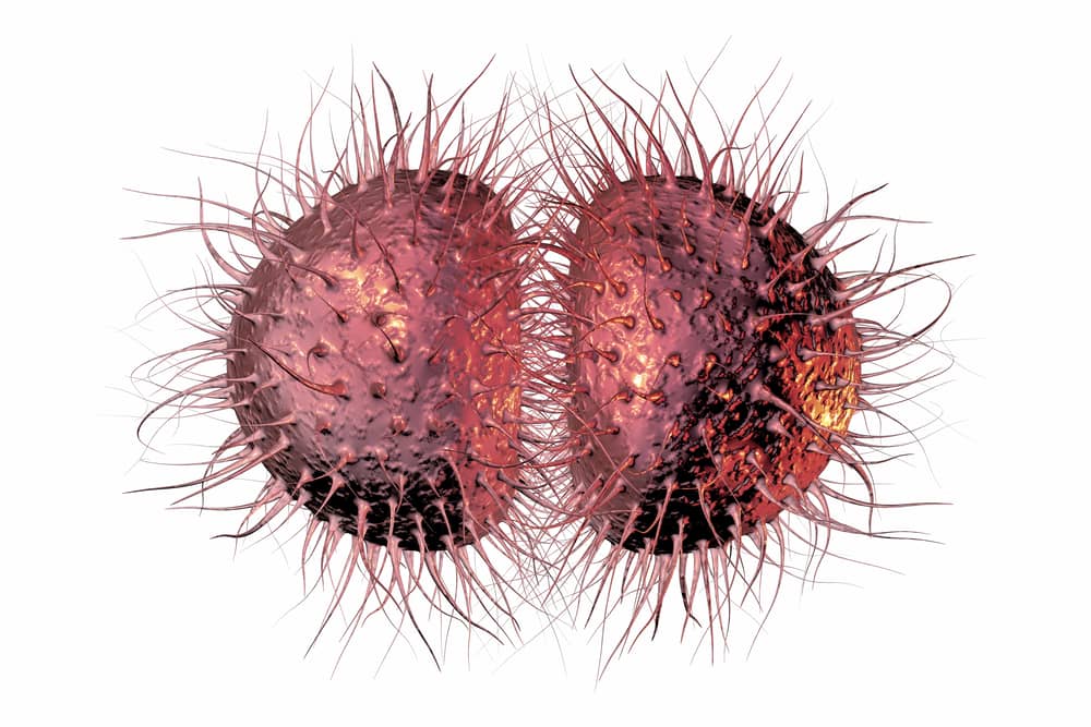 Гонорея: симптомы и лечение